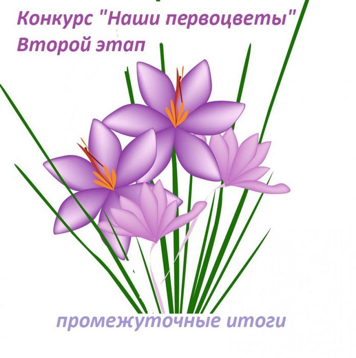 purple-crocus-sativus-flower-on-white-background-vector-2103729
